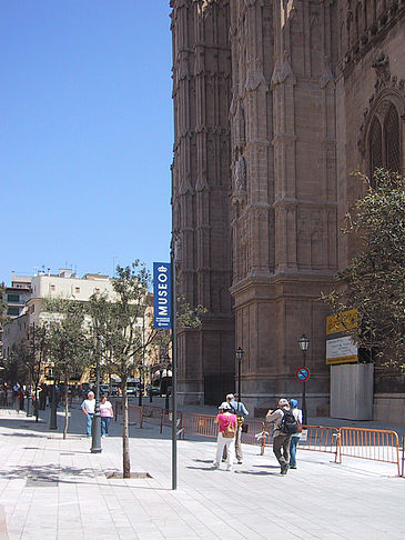 Kathedrale La Seu Foto 