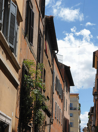 Gasse - Latium (Rom) (Rom)