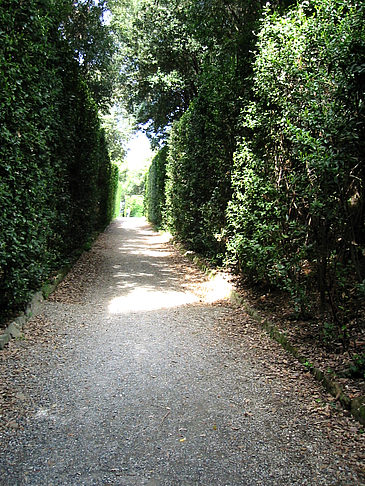 Im Garten des Palazzo Pitti - Toskana (Florenz)