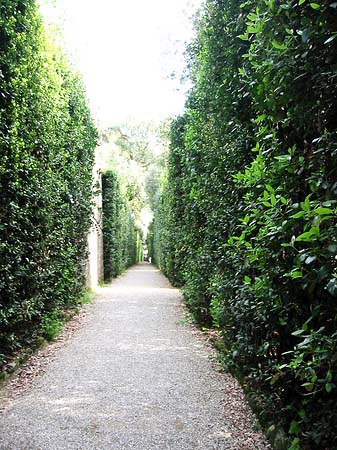 Im Garten des Palazzo Pitti - Toskana (Florenz)