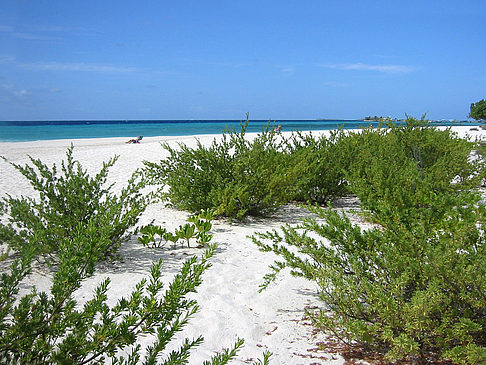 Fotos Blick auf das Meer