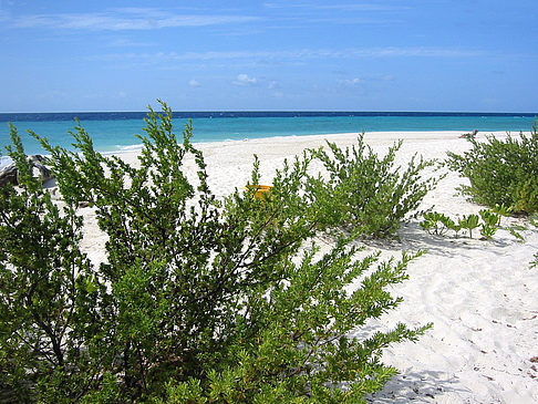 Blick auf das Meer - Malediven