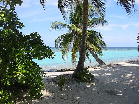 Blick auf das Meer - Malediven