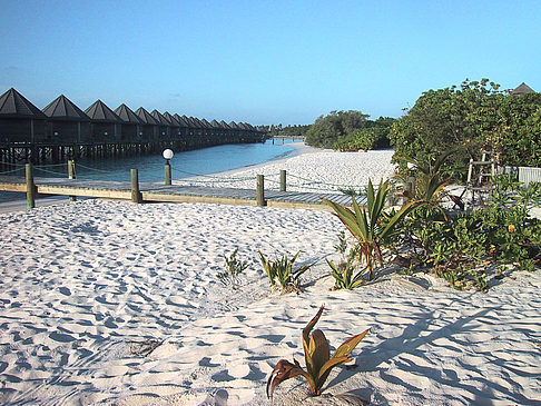 Der weiße Sandstrand der Malediven