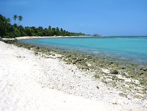 Felsiger Strand - Malediven