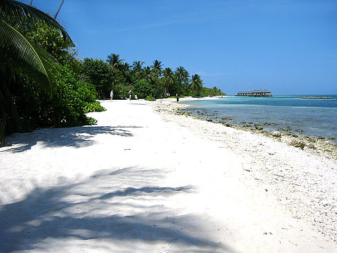 Felsiger Strand - Malediven