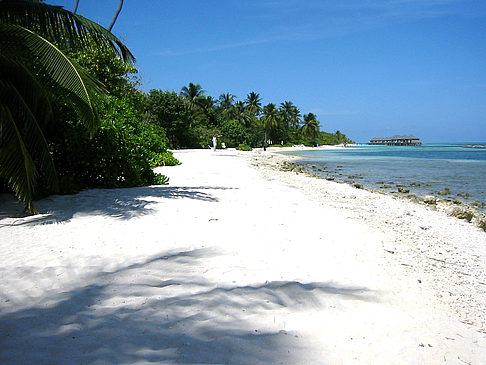 Felsiger Strand - Malediven