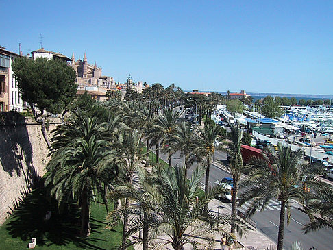 Blick über Mallorca - Mallorca