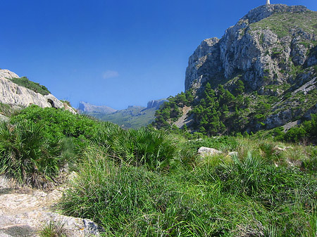 Fotos Landschaften in Formentor