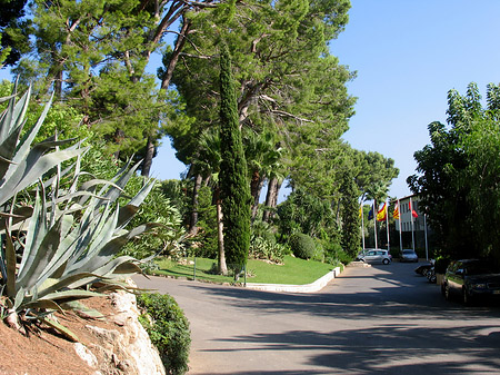 Die Hotelanlage - Mallorca