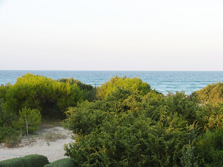 Der Strand - Mallorca