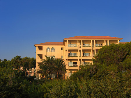 Hotel mit Bäumen - Mallorca