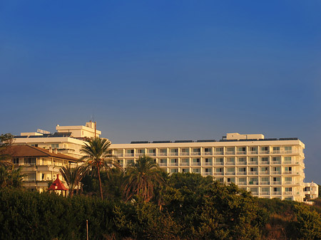 Hotel mit Bäumen - Mallorca