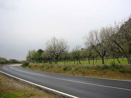 Berge - Mallorca