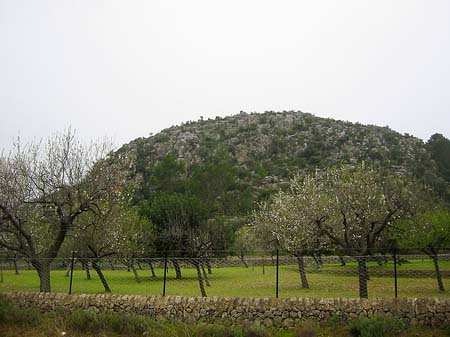 Berge - Mallorca