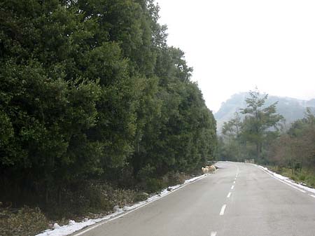 Berge - Mallorca