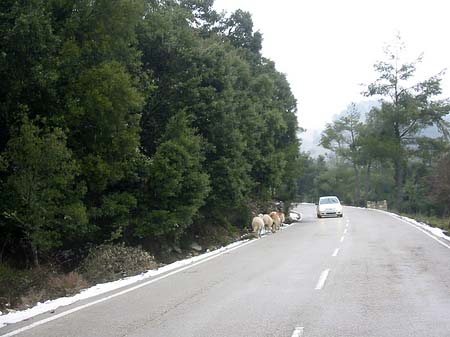 Berge - Mallorca