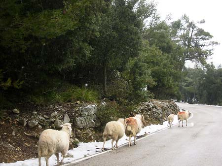 Berge - Mallorca