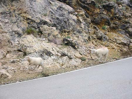 Berge - Mallorca