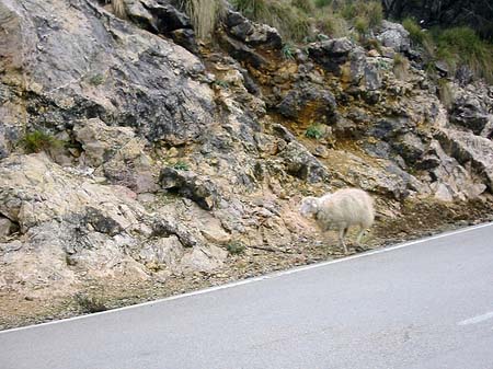 Berge - Mallorca