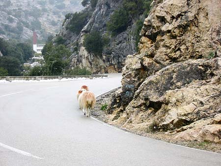 Berge - Mallorca