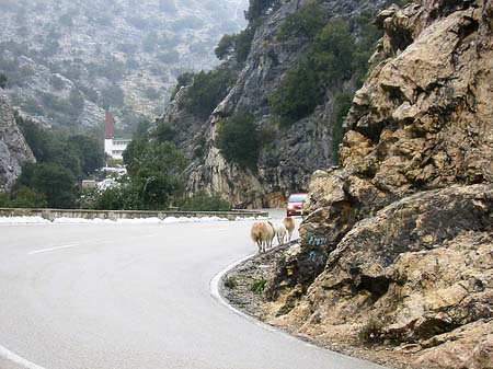 Berge - Mallorca