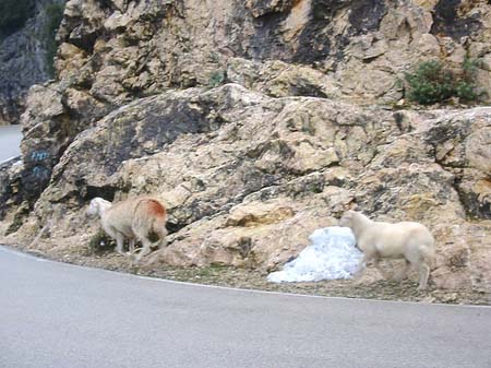 Berge - Mallorca