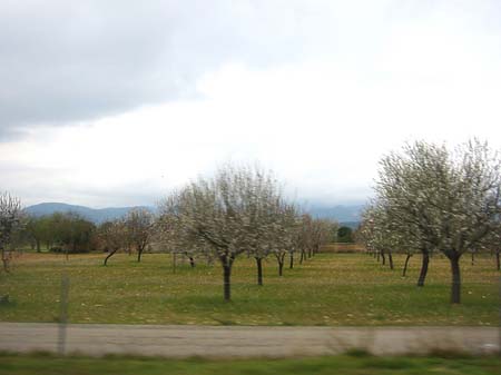 Berge - Mallorca