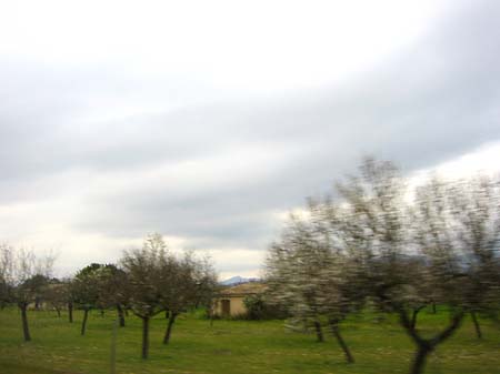 Berge - Mallorca