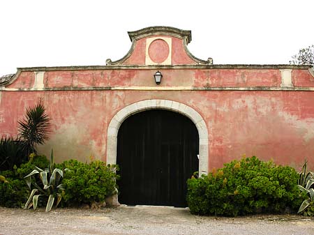 Fotos Santa Maria del Cami | Can Pastilla