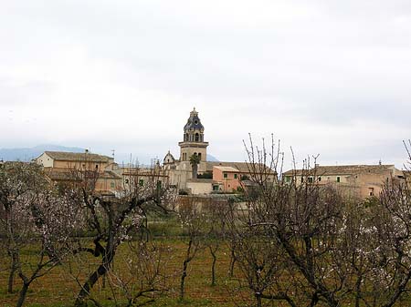 Santa Maria del Cami - Mallorca