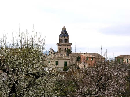 Foto Santa Maria del Cami - 