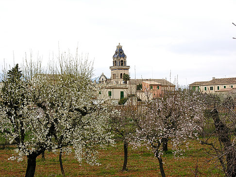 Santa Maria del Cami - Mallorca