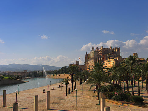 Fotos Die Kathedrale | Palma de Maljorka