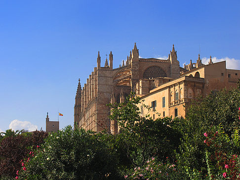 Die Kathedrale - Mallorca (Palma de Maljorka)