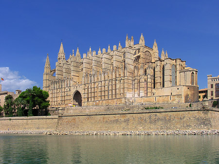 Foto Die Kathedrale - Palma de Maljorka