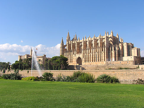 Fotos Die Kathedrale | Palma de Maljorka