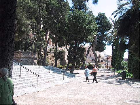 Fotos Kathedrale La Seu