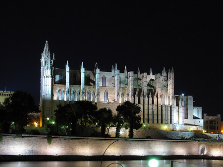 Foto La Seu bei Nacht - Palma de Maljorka