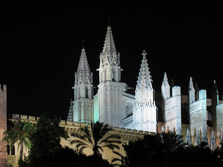 Fotos La Seu bei Nacht | Palma de Maljorka