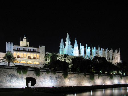 La Seu bei Nacht Foto 