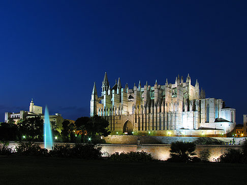 La Seu beim Sonnenuntergang - Mallorca (Palma de Maljorka)