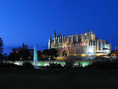 La Seu mit Fontäne - Mallorca (Palma de Maljorka)