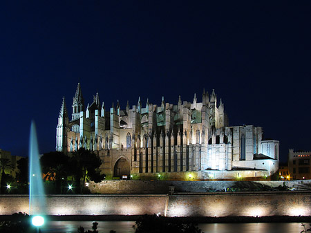 Fotos La Seu mit Fontäne | Palma de Maljorka