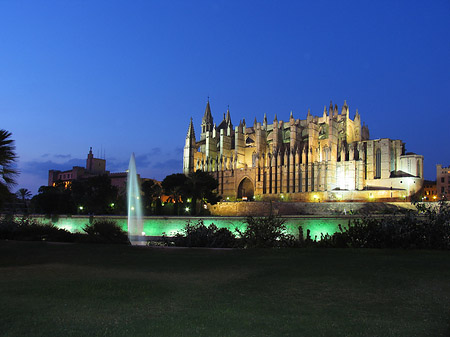 Fotos La Seu mit Fontäne | Palma de Maljorka