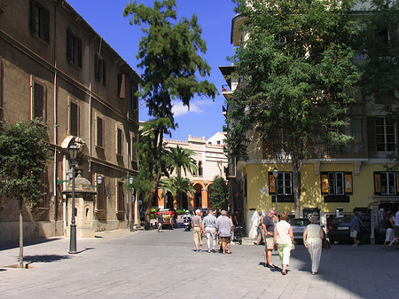 Fotos Umgebung der Kathedrale | Palma de Maljorka