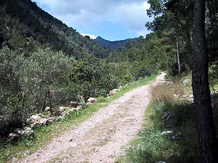 Durch die Landschaft - Mallorca