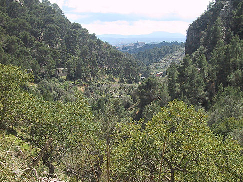 Durch die Landschaft - Mallorca