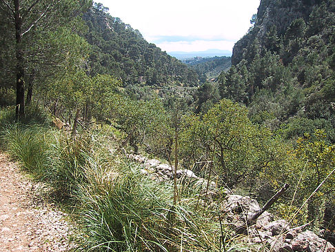 Durch die Landschaft - Mallorca