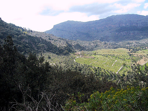 Landschaften Mallorcas - Mallorca